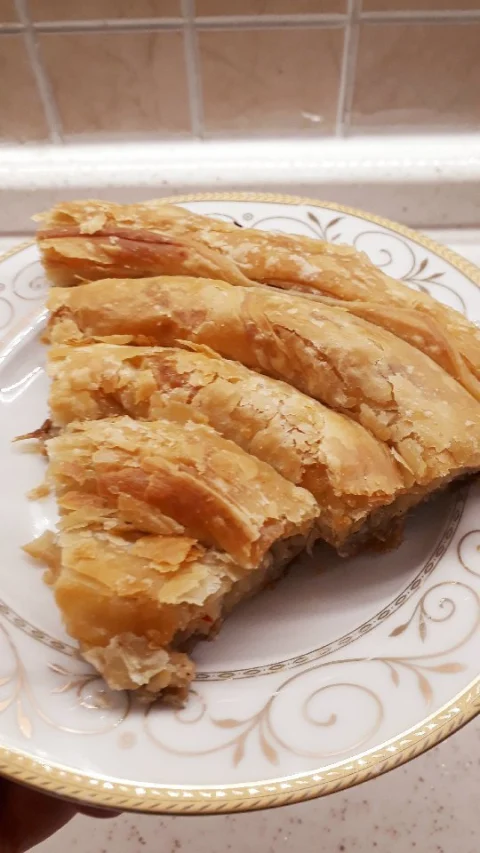 Kıymalı patatesli çıtır kızarmış börek