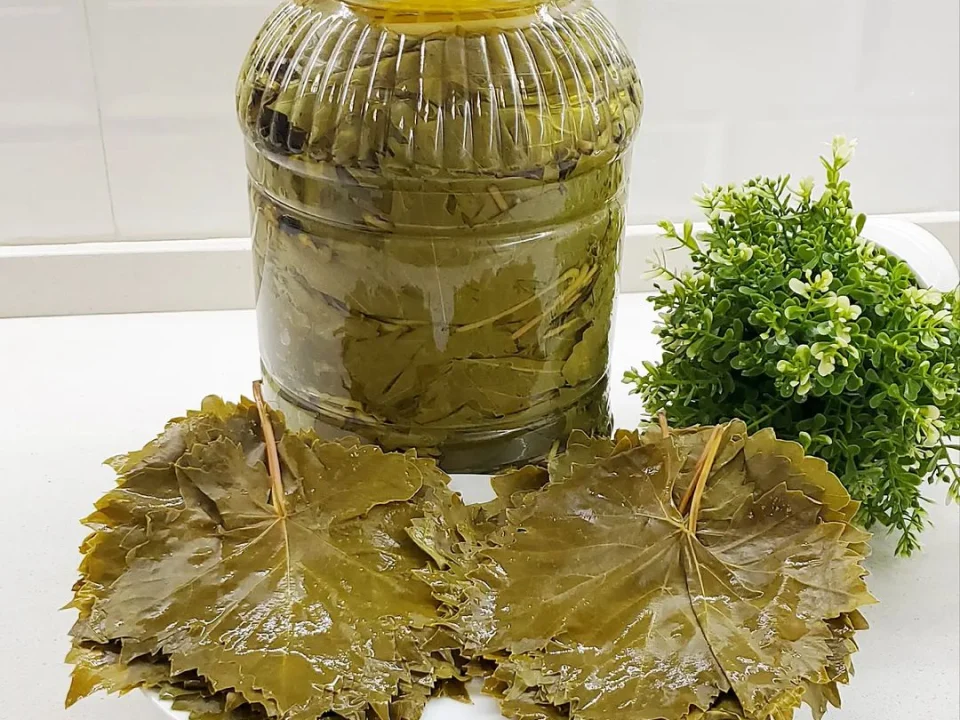 salamura üzüm yaprağı